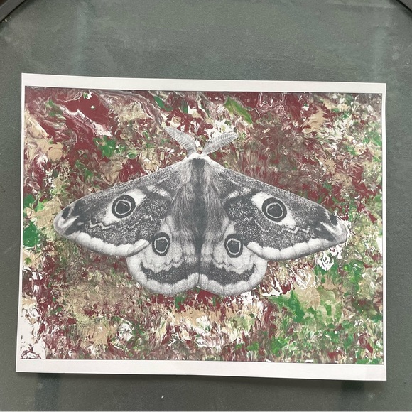 Moth artwork print 11.5x8.5” - Picture 2 of 2